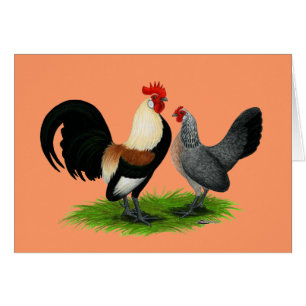 Dutch Bantams:  Cream Light Brown