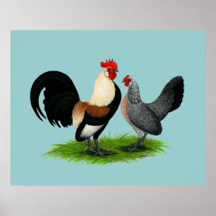 Dutch Bantams: Cream Light Brown Poster
