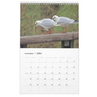 Dutch birds Calendar