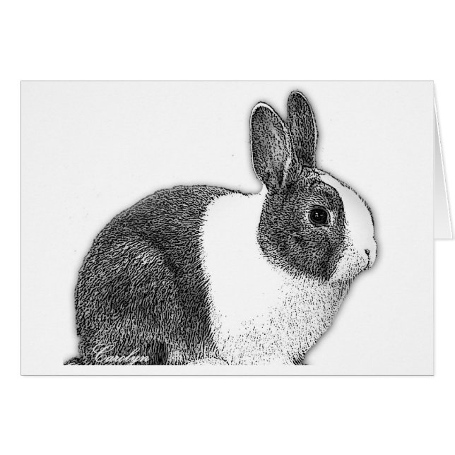 Dutch Bunny (Front Horizontal)