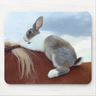 Dutch bunny rabbit riding a horse mouse pad