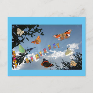 Dutch Butterflies Cust. Frame Birthday Postcard