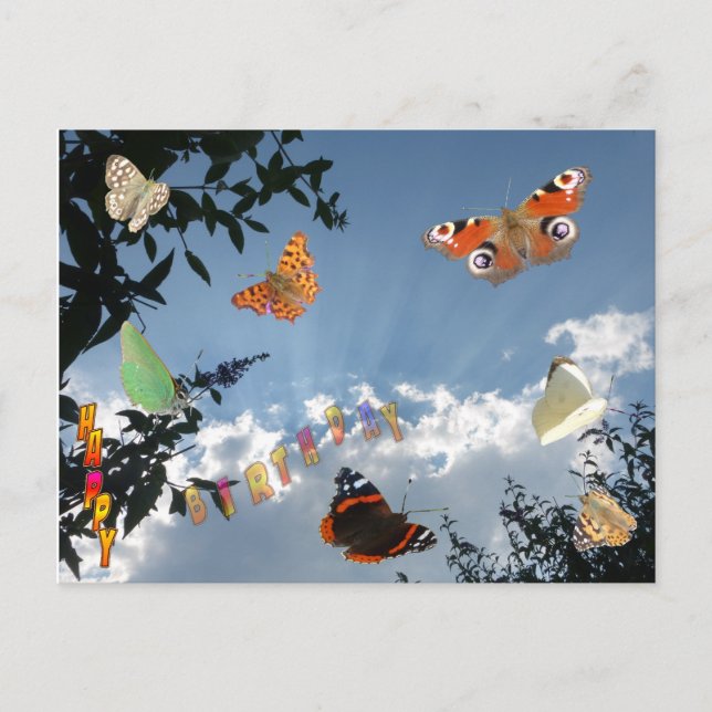 Dutch Butterflies Happy Birthday Postcard (Front)