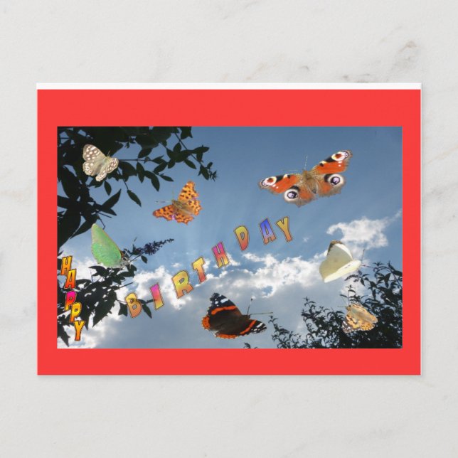 Dutch Butterflies Red Happy Birthday Postcard (Front)