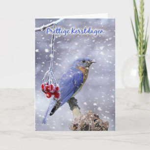 dutch christmas card - blue bird with berries and