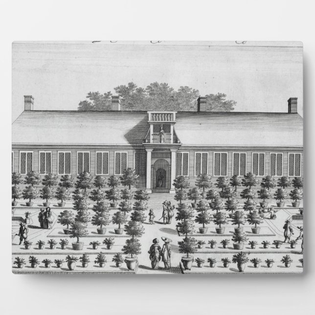 Dutch garden, from 'De Nederlandze Hesperides' by Plaque (Front)