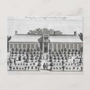 Dutch garden, from 'De Nederlandze Hesperides' by Postcard