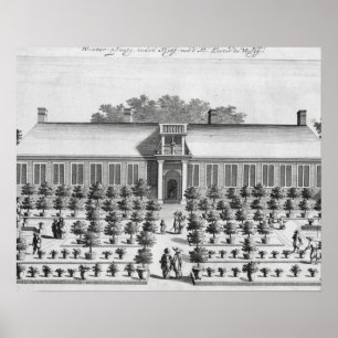 Dutch garden, from 'De Nederlandze Hesperides' by Poster