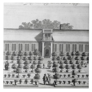 Dutch garden, from 'De Nederlandze Hesperides' by Tile