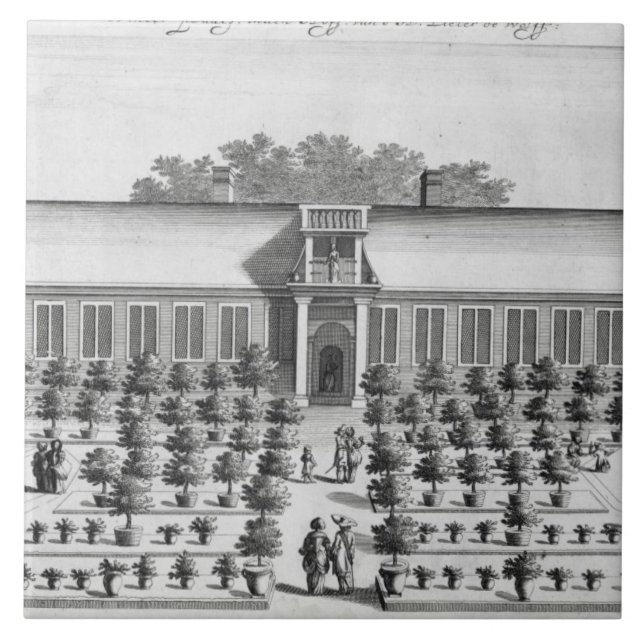 Dutch garden, from 'De Nederlandze Hesperides' by Tile (Front)