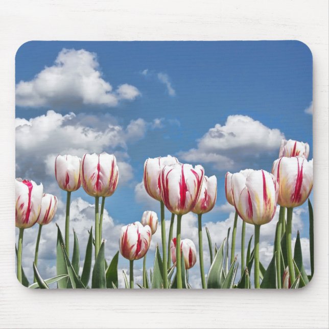 Dutch Garden Mouse Pad (Front)