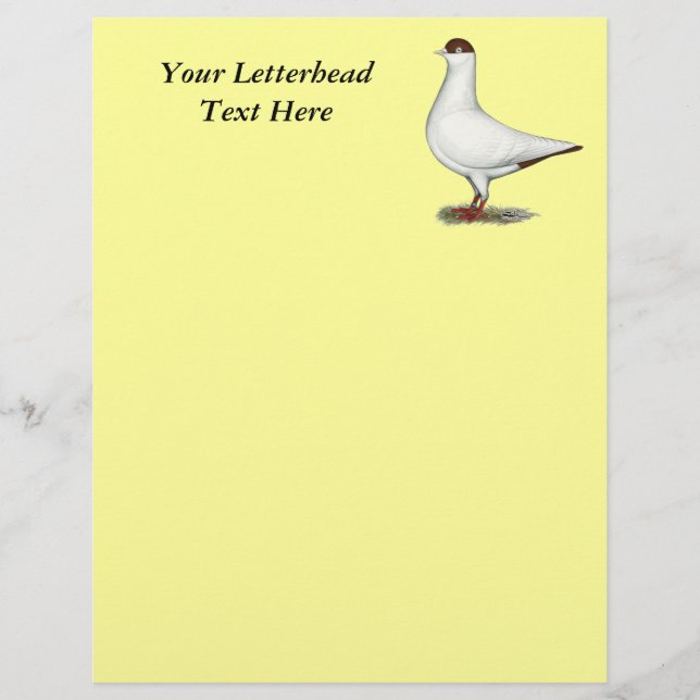 Dutch Helmet Pigeon (Front)