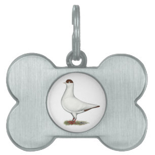 Dutch Helmet Pigeon Pet Tag