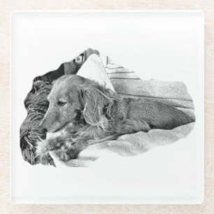 Dutch Hound Resting – Graphic Coaster