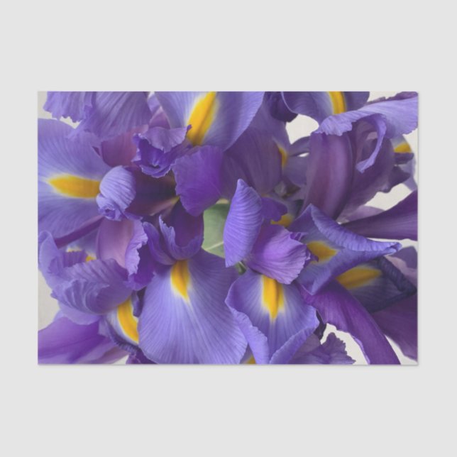Dutch iris bouquet tissue paper (Front)