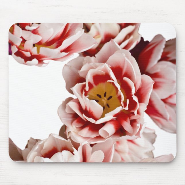 Dutch-Masters Mouse Pad (Front)