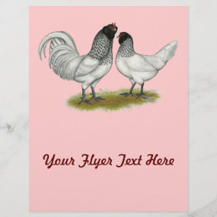 Dutch Owl Beard Chickens Flyer