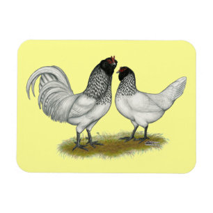 Dutch Owl Beard Chickens Magnet