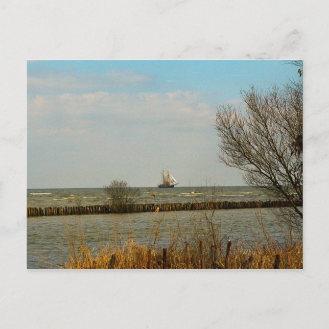 Dutch Sailing vessels on the Ijselmeer Postcard (Front)