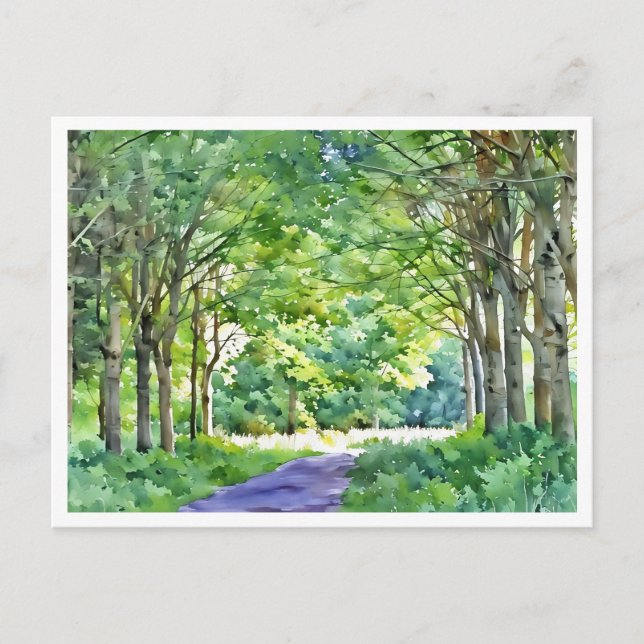 Dutch Salland Region Westerveldse Bos Forest Postcard (Front)