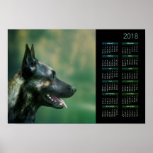 Dutch Shepherd - Dutchie Calendar 2018