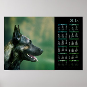 Dutch Shepherd - Dutchie Calendar 2018 Poster