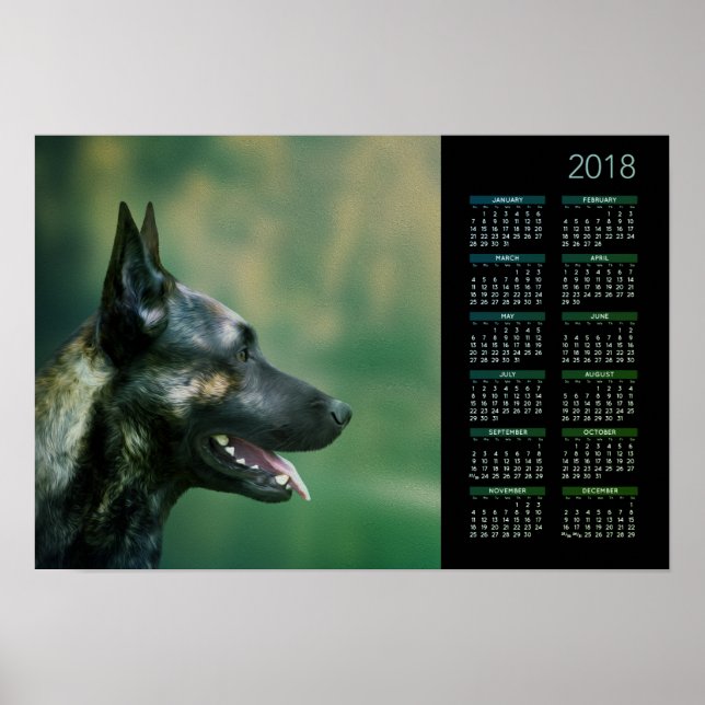 Dutch Shepherd - Dutchie Calendar 2018 Poster (Front)