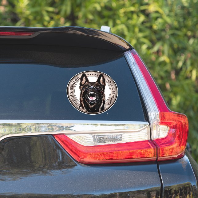 Dutch Shepherd -Hollandse Herdershond  (Car Side)