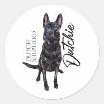 Dutch Shepherd -Hollandse Herdershond
