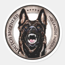 Dutch Shepherd -Hollandse Herdershond