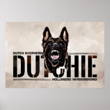 Dutch Shepherd -Hollandse Herdershond 