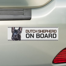 Dutch Shepherd on Board