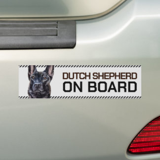Dutch Shepherd on Board Bumper Sticker