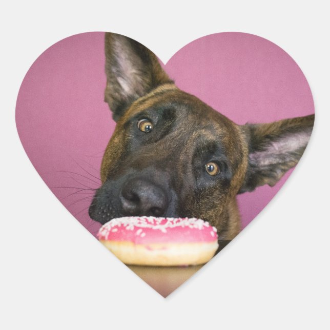 Dutch shepherd versus donut heart sticker (Front)