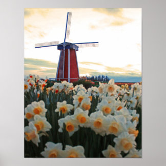 Dutch Spring Poster