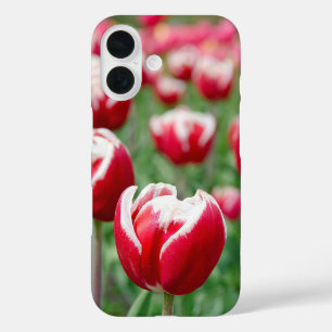 Dutch Tulip Garden iPhone 16 Case