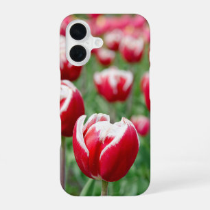 Dutch Tulip Garden iPhone 16 Case