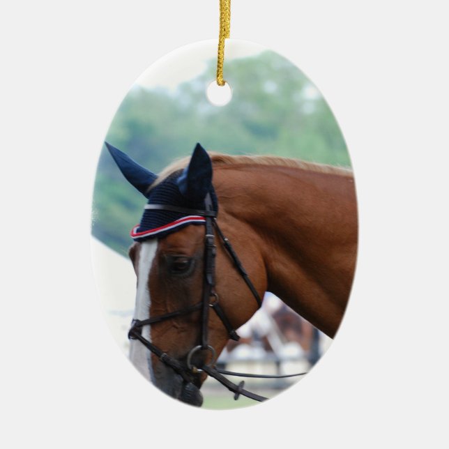 Dutch Warmblood Horse Ornament (Front)