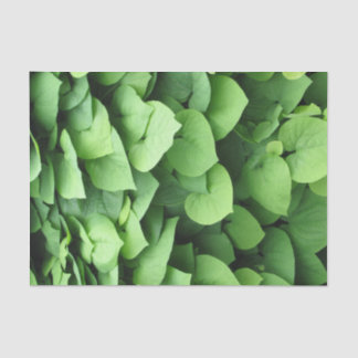 Dutchman's Pipe Green Foliage Tissue Paper
