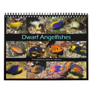 Dwarf Angelfishes Wall Calendar by J.W. Fatherree.