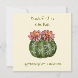 Dwarf Chin cactus card