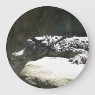 Dwarf Chinese Alligator Wall Clock