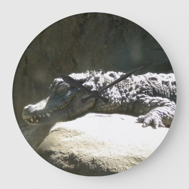 Dwarf Chinese Alligator Wall Clock (Front)