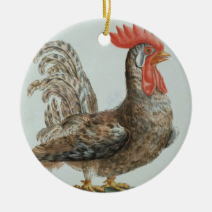 Dwarf Cockerel, c.1767-76 (hand coloured engraving Ceramic Ornament