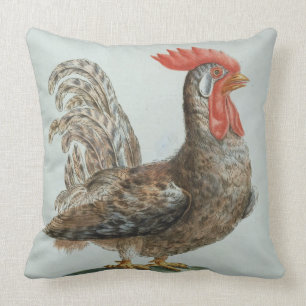 Dwarf Cockerel, c.1767-76 (hand coloured engraving Cushion