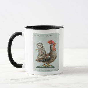 Dwarf Cockerel, c.1767-76 (hand coloured engraving Mug