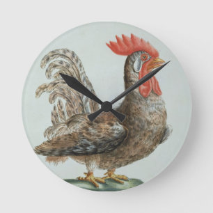 Dwarf Cockerel, c.1767-76 (hand coloured engraving Round Clock