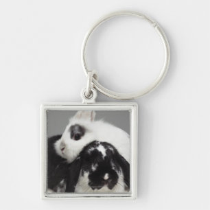 Dwarf-eared rabbit leaning over lop-eared key ring