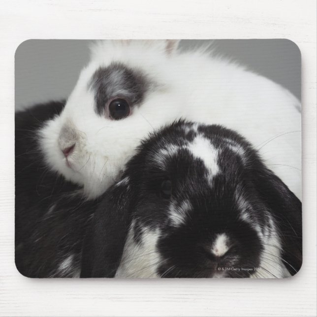 Dwarf-eared rabbit leaning over lop-eared mouse pad (Front)