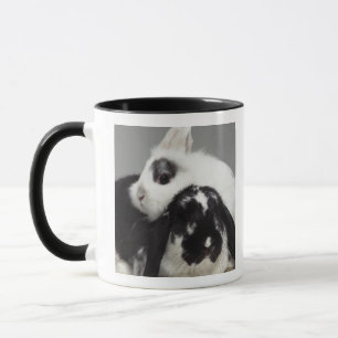 Dwarf-eared rabbit leaning over lop-eared mug